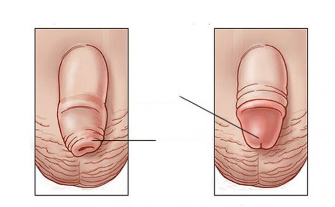 Que tarea del lubricante